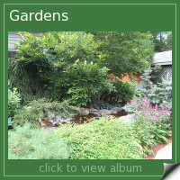 Garden Album