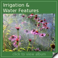 Irrigation Album