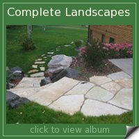 Complete Landscapes Album